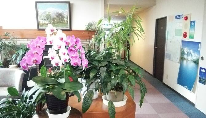 白馬ホテル 花乃郷 口コミ 部屋写真 料金 お得情報 エクスペディア 白馬ホテル 花乃郷 口コミ 部屋写真 料金 お得情報 エクスペディア