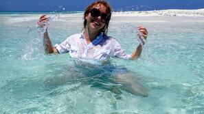 Plage, plongée sous-marine, snorkeling, kayak