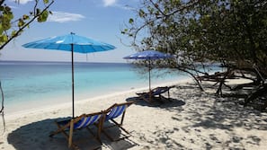 Plage, plongée sous-marine, snorkeling, kayak