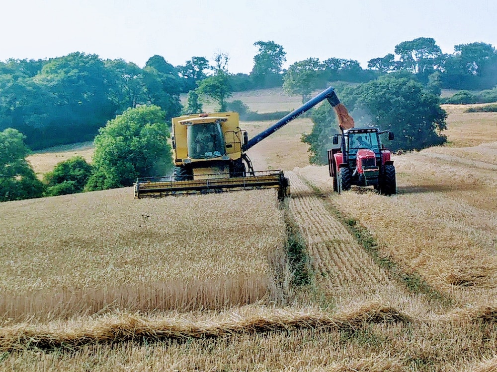 Higher Bruckland Farmhouse B&B in Axminster, United Kingdom