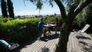 Terras