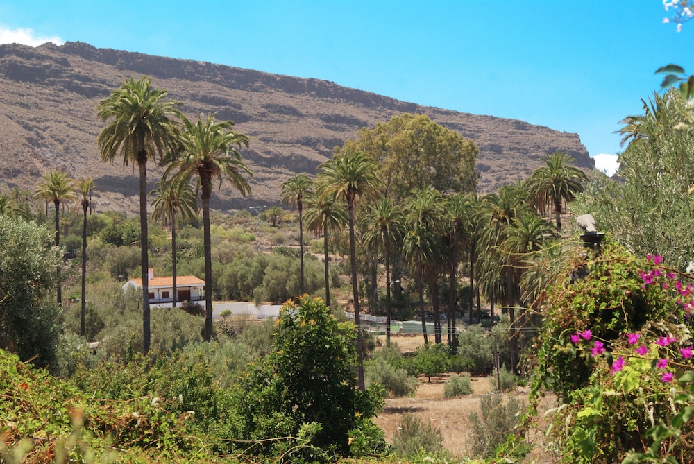 Foto - Casa rural El Olivar - La Molienda