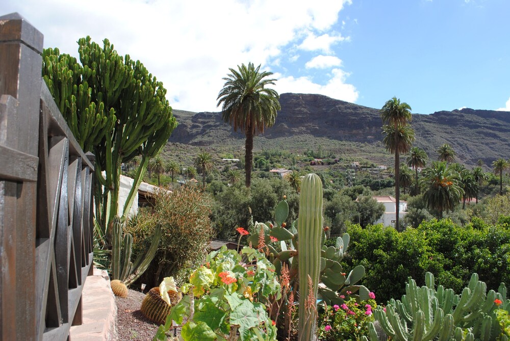 Photo - Casa rural El Olivar - La Oliva