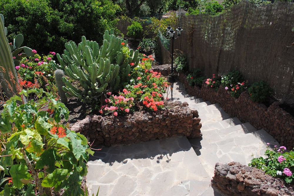 Photo - Casa rural El Olivar - La Oliva