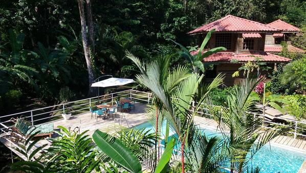 Outdoor pool, pool umbrellas, sun loungers