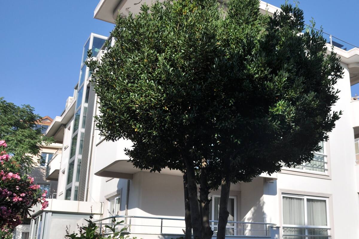 Island Hotel Istanbul 2021 Updated Prices Expedia Co Uk