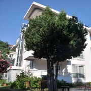 Istanbul Karting Park