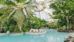Aqua Center