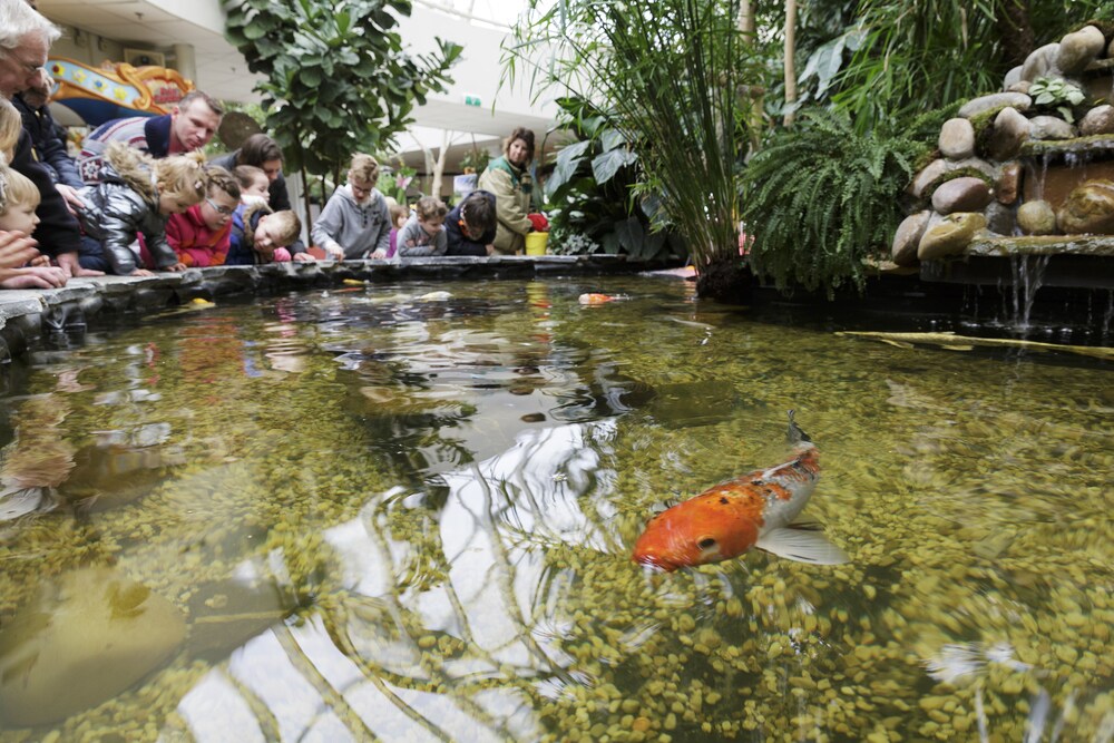 Interior, Center Parcs Zandvoort Beach