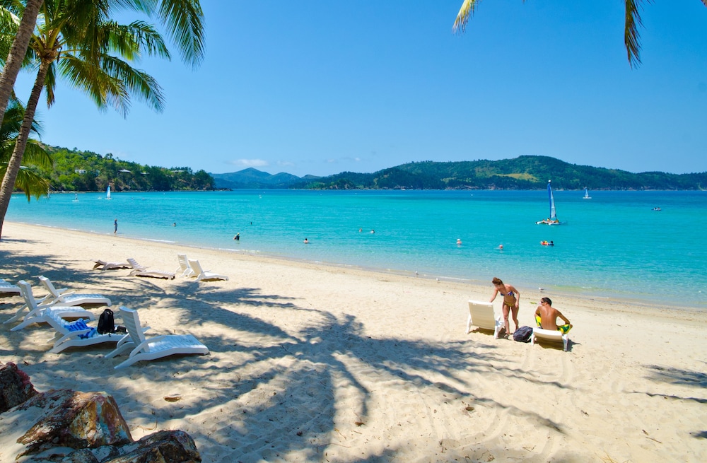 Beach Lodges Hamilton Island Aus Best Price Guarantee Lastminute 2 Bedroom Apartment Hibiscus 107 Beach