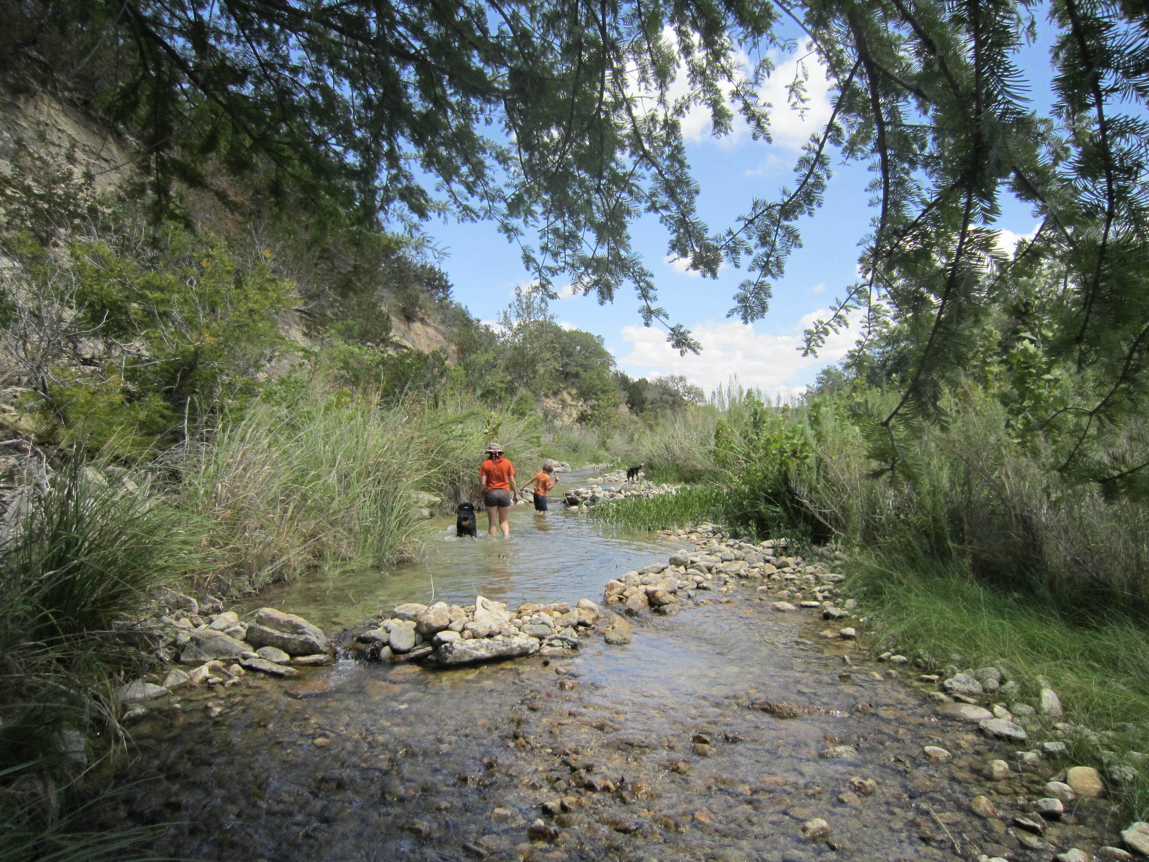 On The River Frio Family Getaway In Leakey Tx Expedia