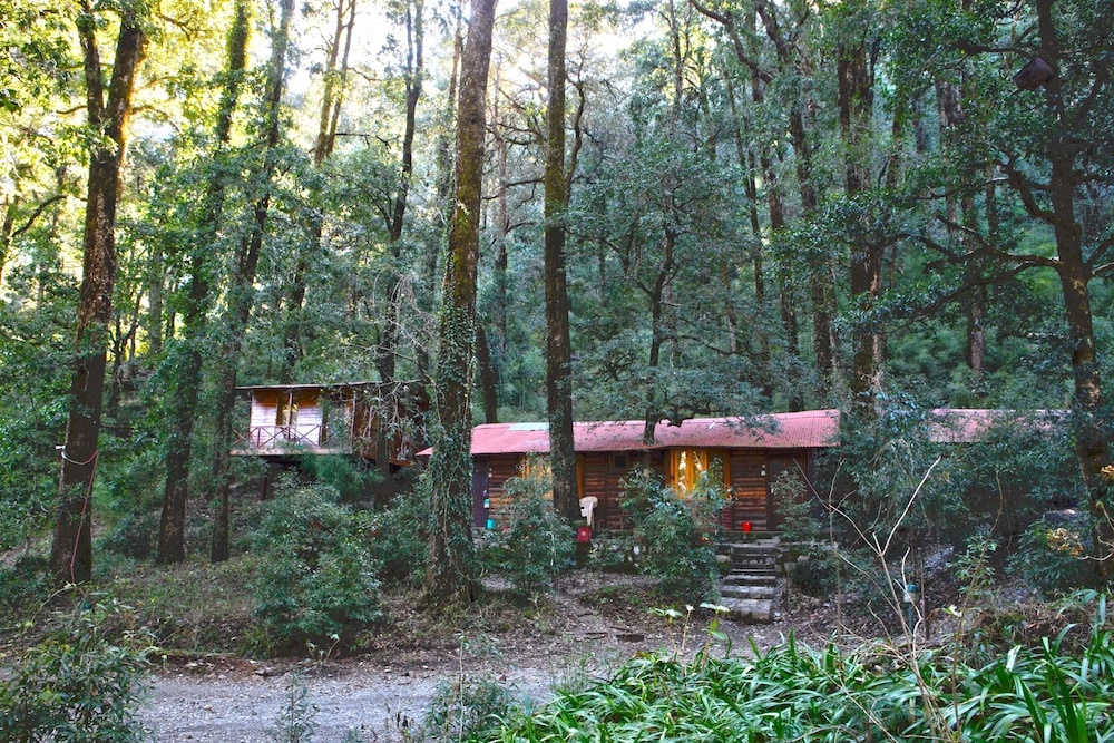 Ayar Jungle Camp in Nainital, India