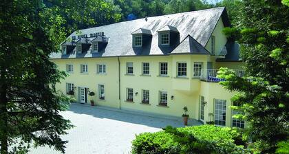 Hôtel Au Vieux Moulin