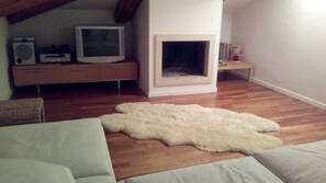 Una televisión de pantalla plana, una chimenea