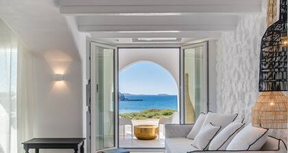 Cyano Suites