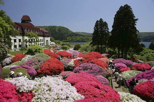 箱根神社周辺のおすすめホテル10選 格安ホテル予約 エクスペディア