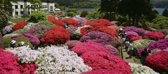 箱根神社周辺のおすすめホテル10選 格安ホテル予約 エクスペディア 箱根神社周辺のおすすめホテル10選 格安ホテル予約 エクスペディア