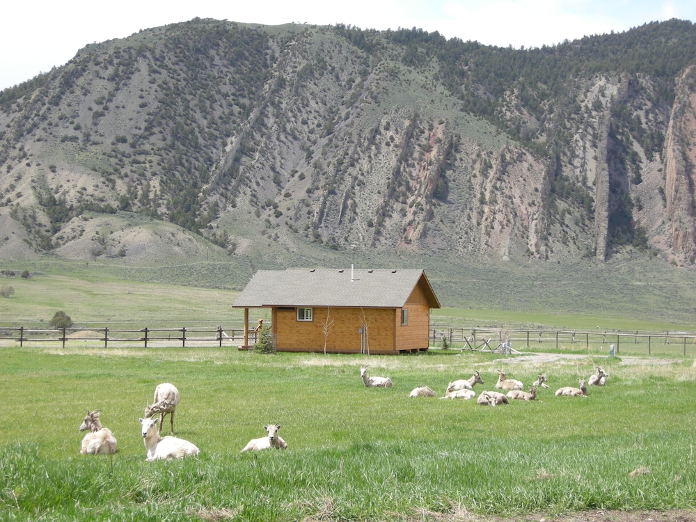 Electric Peak Cabin in Yellowstone Park in Gardiner Best Rates & Deals on Orbitz
