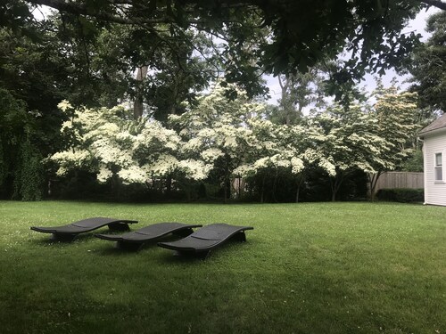 Download Cape cod casa de praia cores Free Cape Cod Casa De Praia Cores