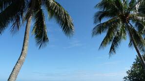 Plage, chaises longues, serviettes de plage