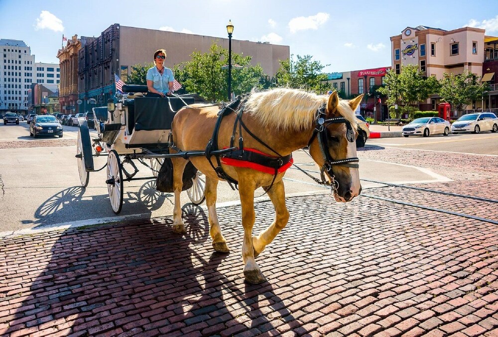 π΄ Waterfront home 5 min to beach. Free bikes & kayaks! Great fishing!
