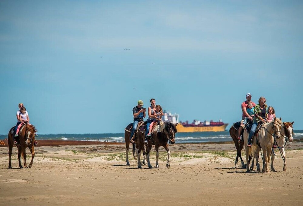 π΄ Waterfront home 5 min to beach. Free bikes & kayaks! Great fishing!