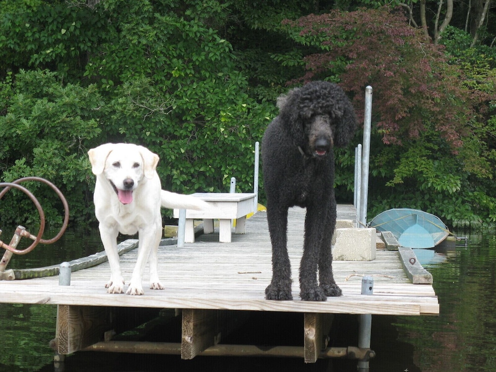 Amazing River House Waterfront Condo on the Choptank River on 18 Acre