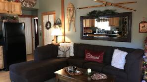 Flat-screen TV, fireplace, DVD player, books