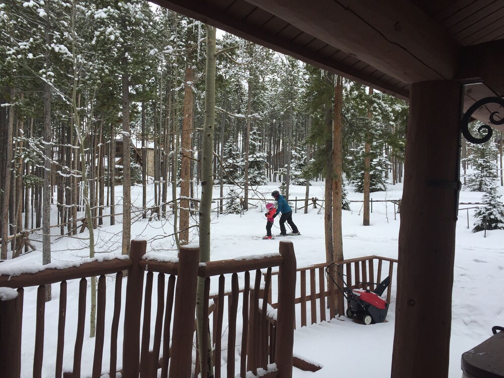 Beautiful Ski In/Out 9 Bedroom Home on Easy Green Trail. In Town of Breckenridge