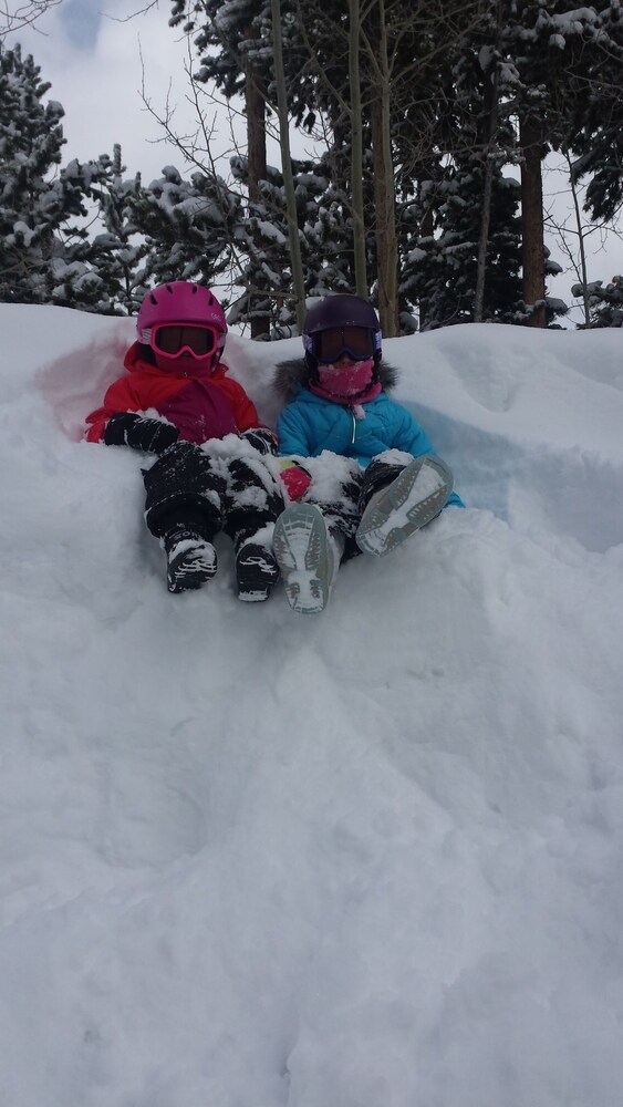 Beautiful Ski In/Out 9 Bedroom Home on Easy Green Trail. In Town of Breckenridge
