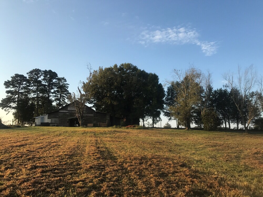 Uwharrie Camping Morrow Mountain State Park View Primitive! in Albemarle Best Rates & Deals on