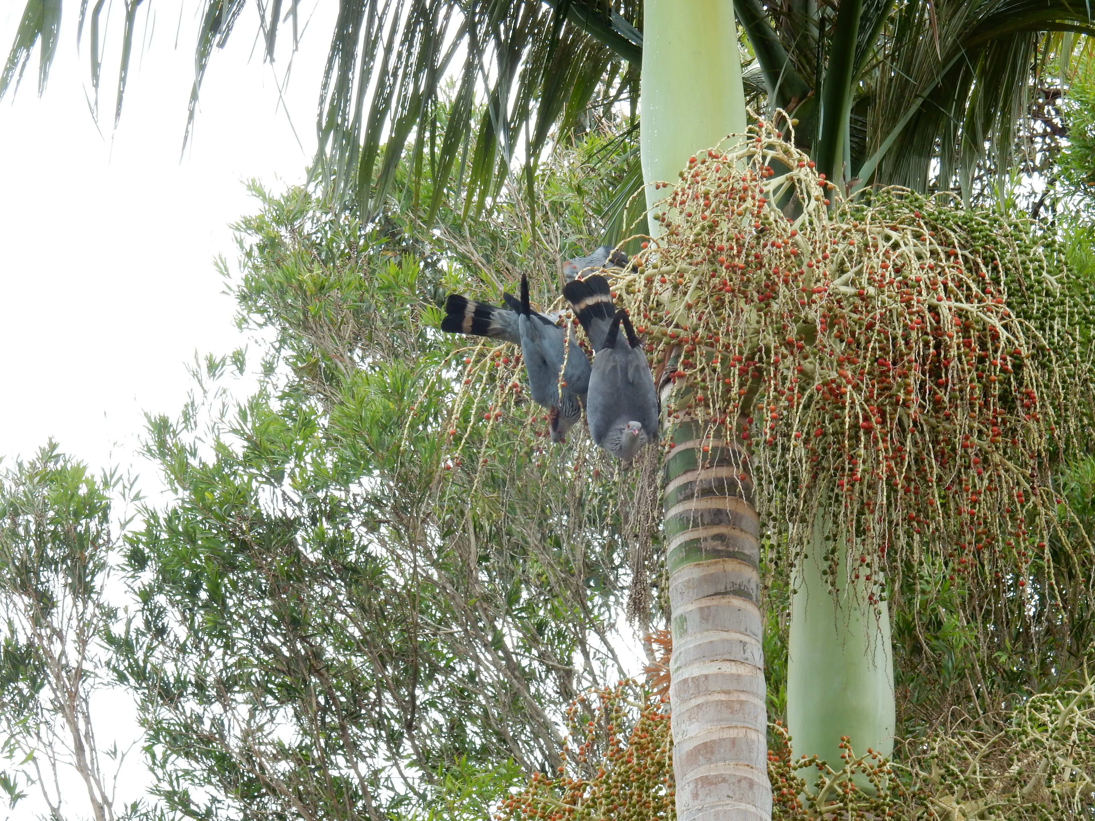 The Lodge Mapleton Falls