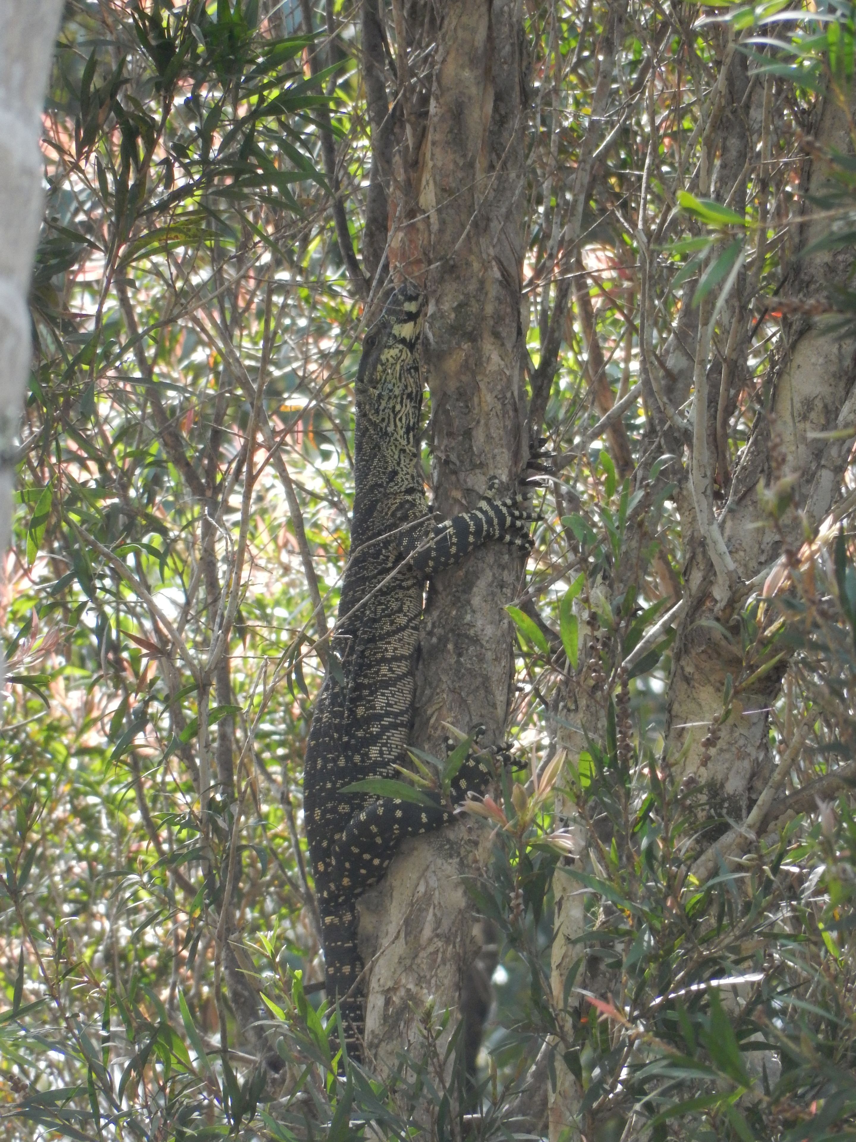 The Lodge Mapleton Falls