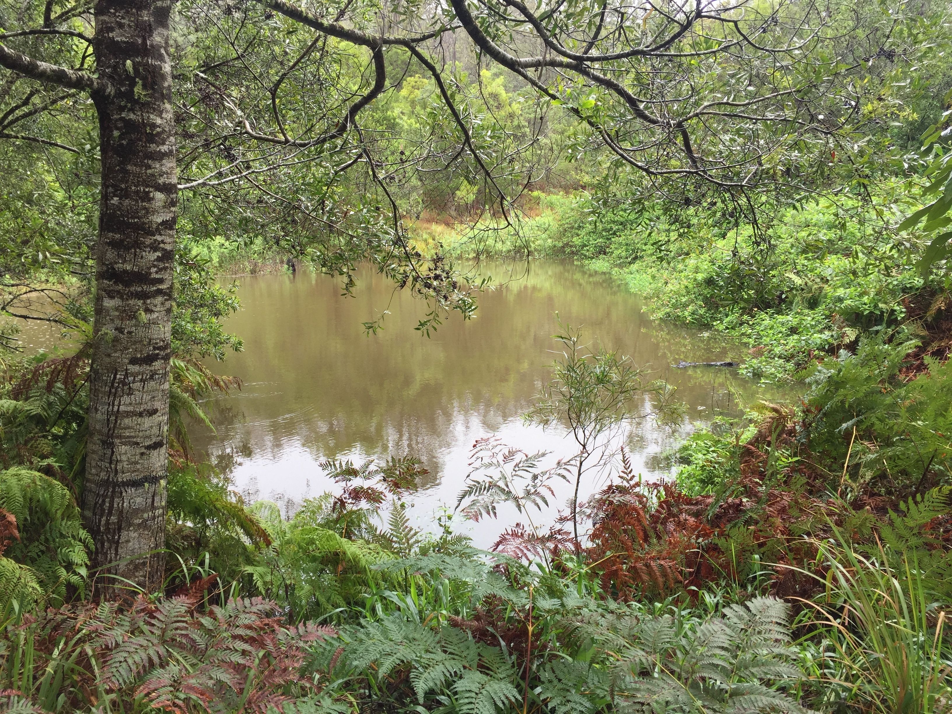 The Lodge Mapleton Falls