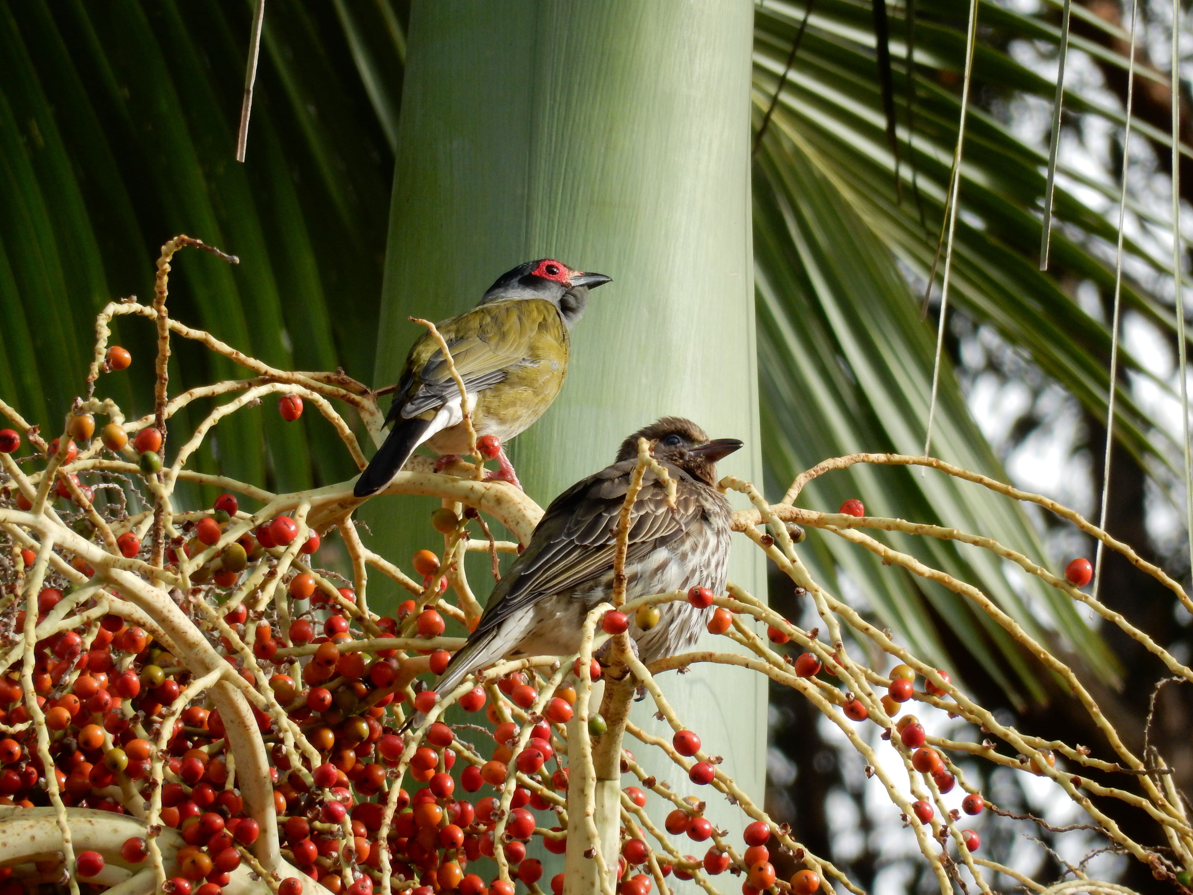 The Lodge Mapleton Falls