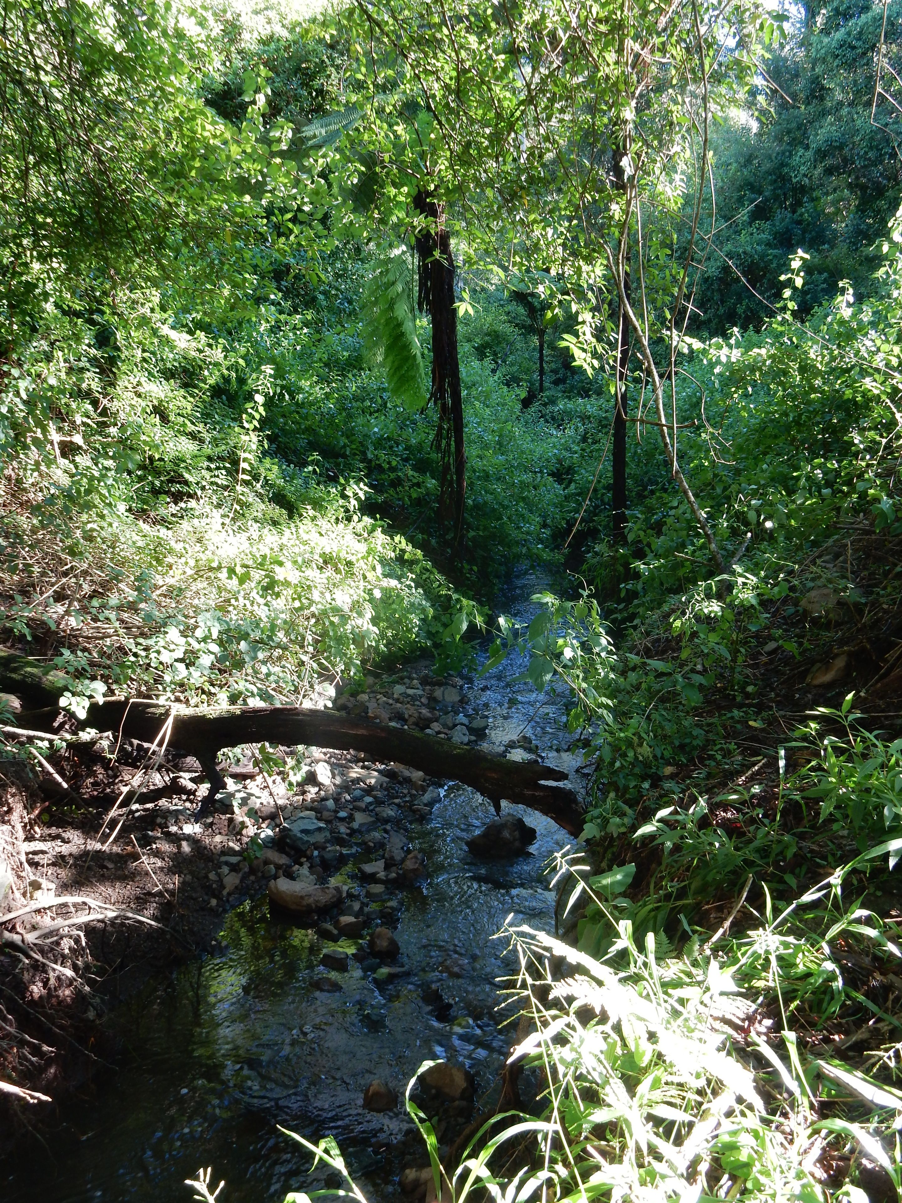 The Lodge Mapleton Falls