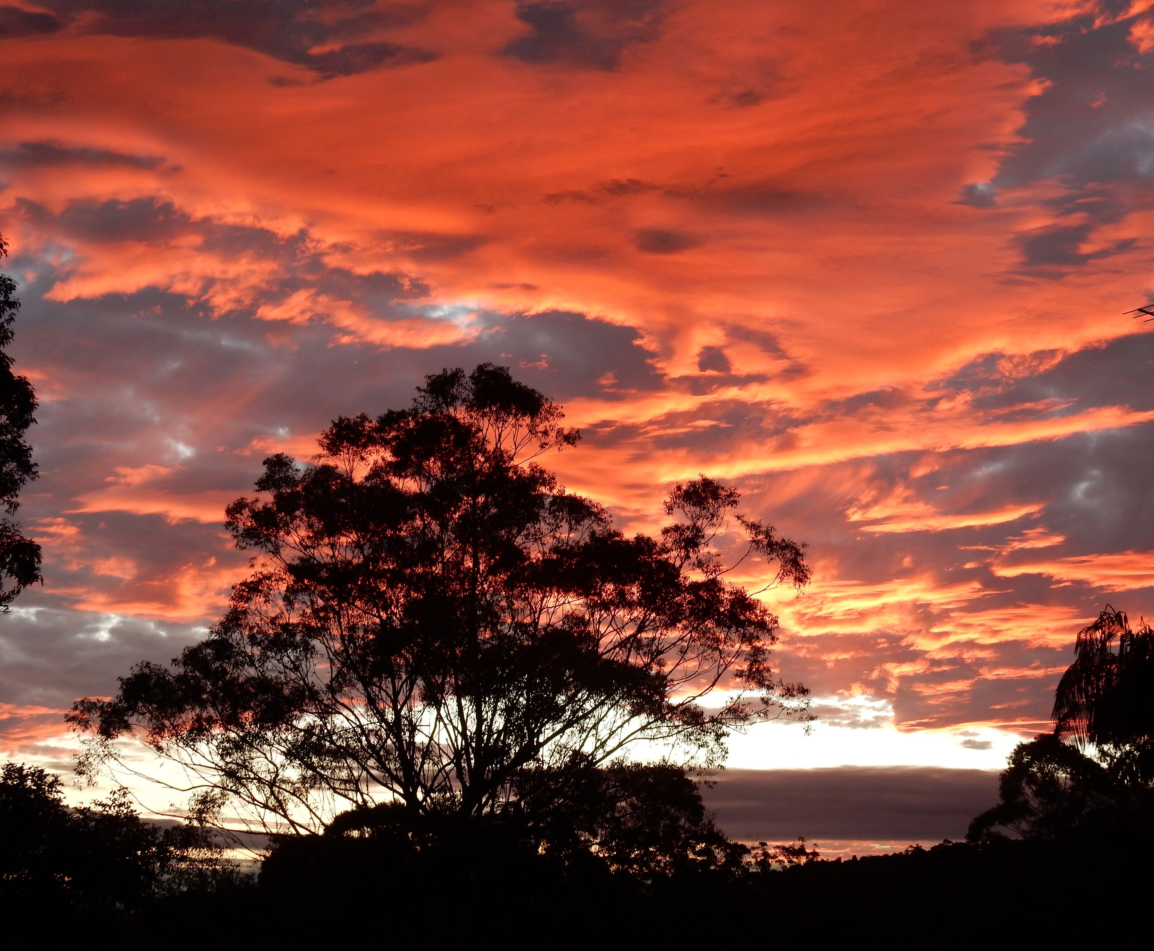 The Lodge Mapleton Falls