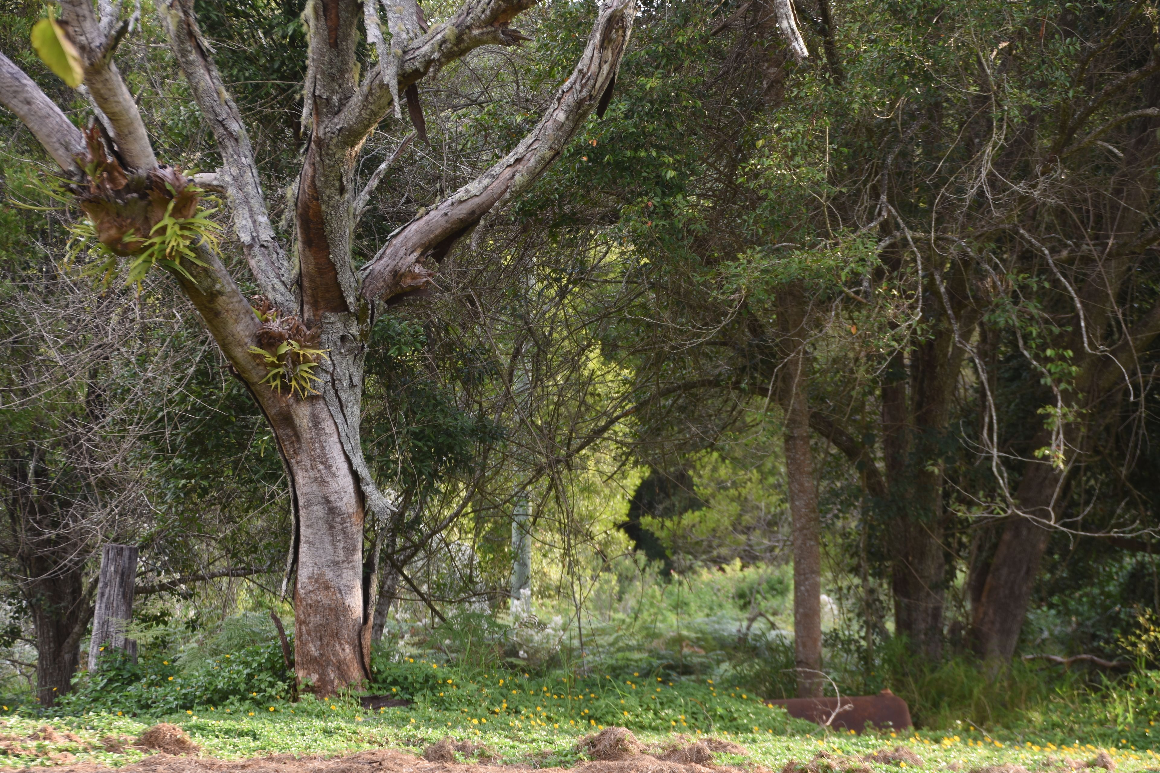 The Lodge Mapleton Falls