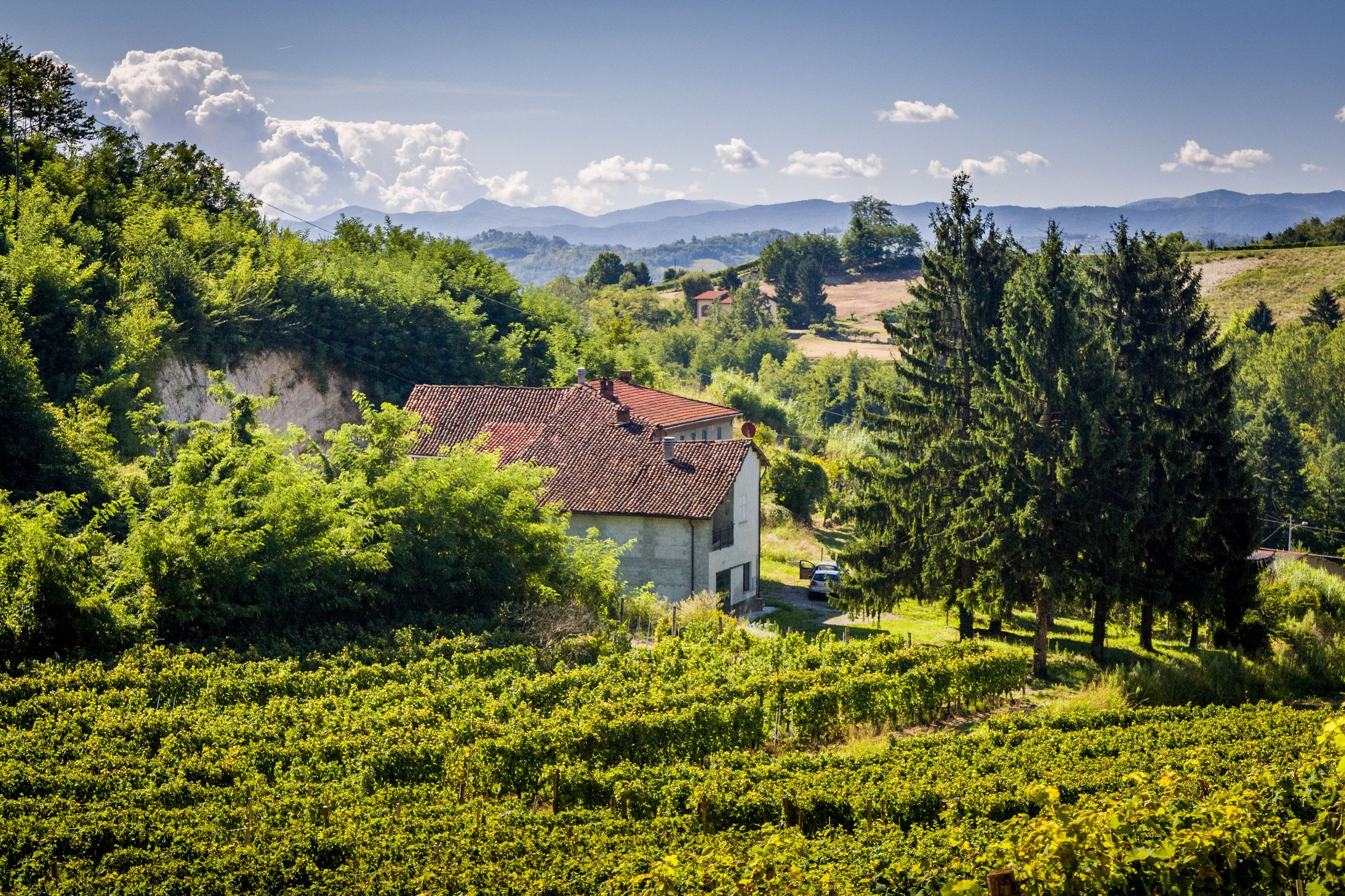 Charming Private Countryhouse Immersed in the Vineyards in Strevi in Strevi, Italy