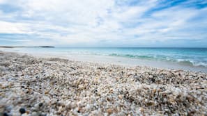 Una spiaggia nelle vicinanze, lettini da mare