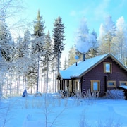 Luhanka Holidays 2020 Cheap Deals On City Breaks To Luhanka