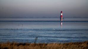 In Strandnähe, Strandtücher