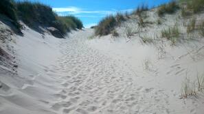 Plage à proximité, chaises longues