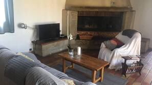 Télévision, cheminée, livres