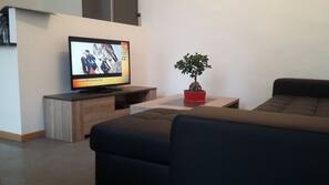 Télévision, lecteur de DVD, livres