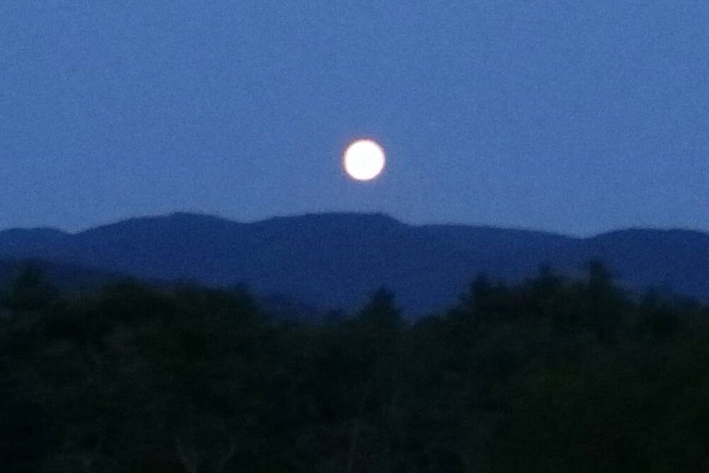 Mountain Glow- Close to Downtown and just off the Blue Ridge Parkway.