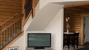 TV, fireplace, video-game console, DVD player