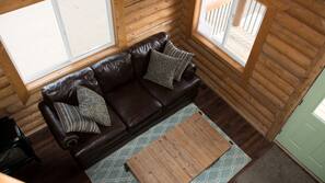 TV, fireplace, video-game console, DVD player