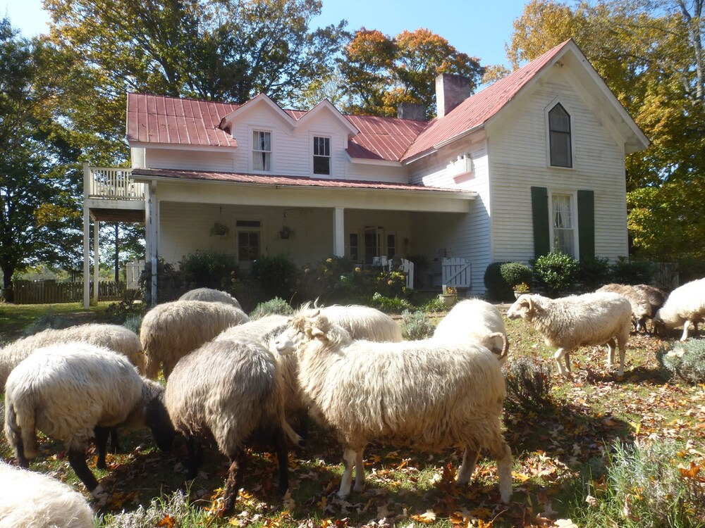 Cozy Cottage at Lavender Farm near Jack Daniel's Distillery, with