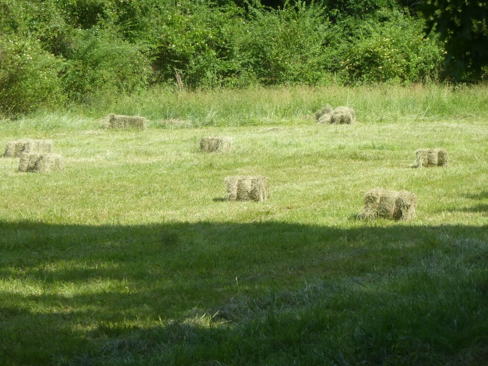 Cozy Cottage at Lavender Farm near Jack Daniel's Distillery, with